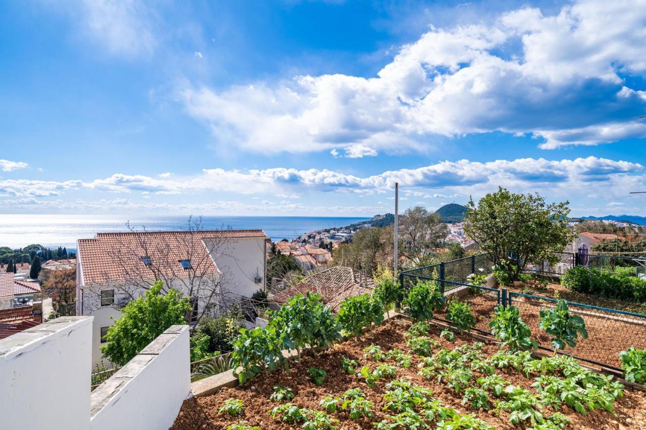 Apartment Debos Dubrovnik Kültér fotó